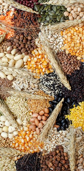 Multi-Commodity Processing