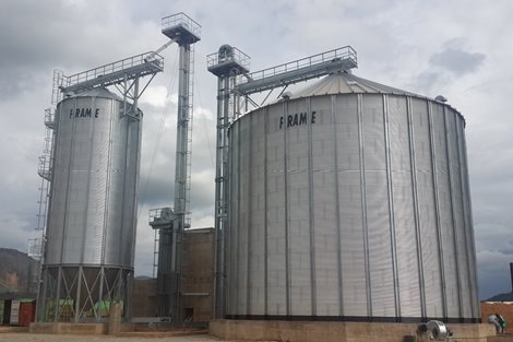 Angola: 2 500 toneladas de trigo