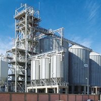 Egipto: 30 000 toneladas de trigo