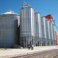 Irán: 62 000 toneladas de maíz blanco