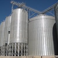 Irán: 64 000 toneladas de maíz