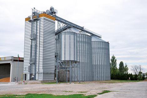 Italia: 3 000 toneladas de trigo y maíz