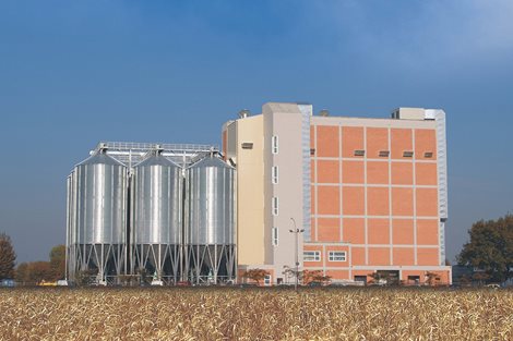 Italia: 5 000 toneladas de trigo