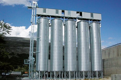 Italia: 700 toneladas de trigo