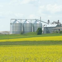 Lituania: 8 000 toneladas de trigo