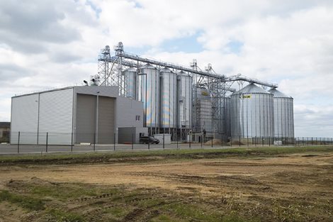 Lituania; 19 000 toneladas de maíz