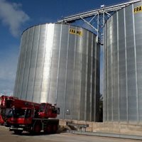 Mozambique: 21 000 toneladas de trigo