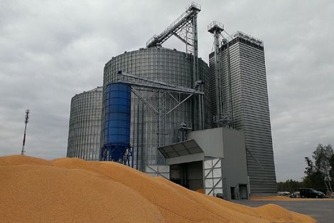 Polonia: 30 000 toneladas de trigo