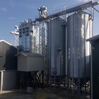 Rumania: 48 000 toneladas de trigo