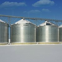 Rusia: 31 000 toneladas de trigo