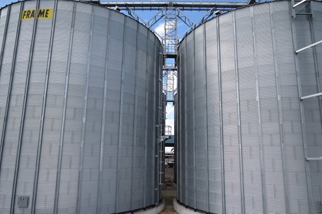 Tanzania: 16 000 toneladas de trigo