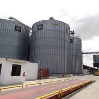 Tanzania: 30 000 toneladas de trigo