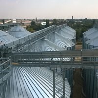 Ucrania: 48 300 toneladas de trigo