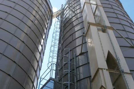 Medioambiente | Bioenergía