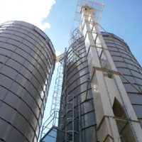 Medioambiente | Bioenergía