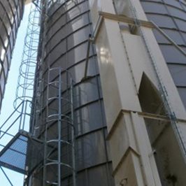 Elevador de cangilones