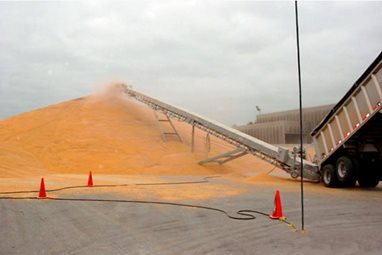 Yargus Portable Conveyor