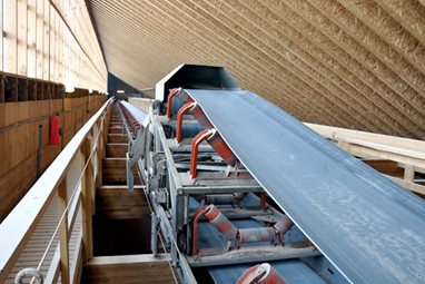 Transportadora con sistema de distribución Yargus